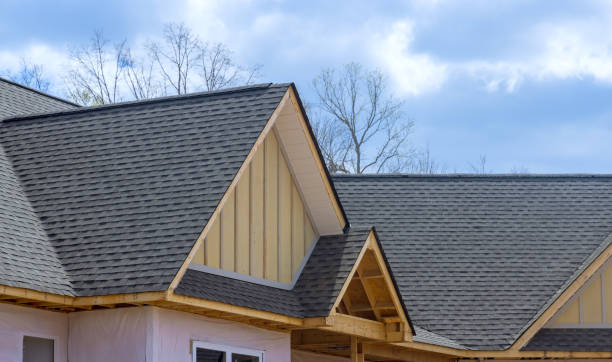 Best Roof Coating and Sealing  in Bridge City, LA