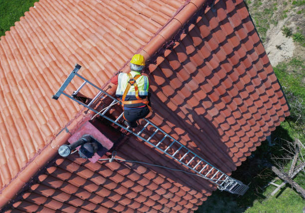 Best Asphalt Shingle Roofing  in Bridge City, LA